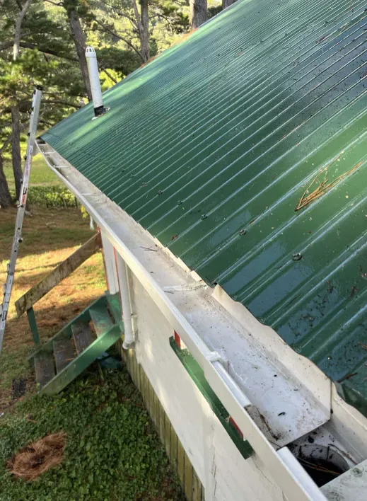 Pine needles cleared from a Coloursteel gutter: after