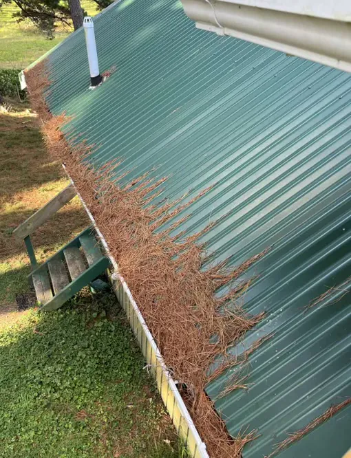 Gutter Cleaning: before
