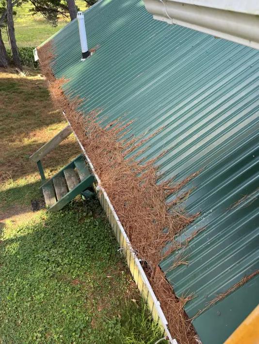 Pine needles cleared from a Coloursteel gutter: before
