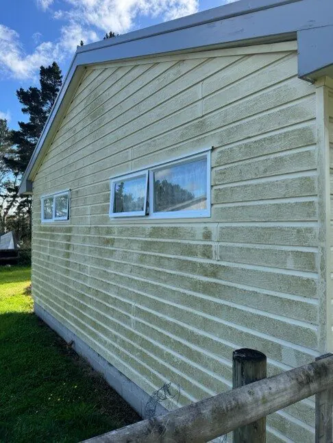Weatherboard wall, green mould removed: before
