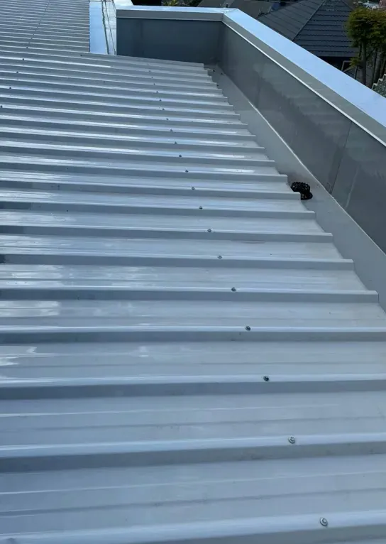 Roof Treatment & Washing: after