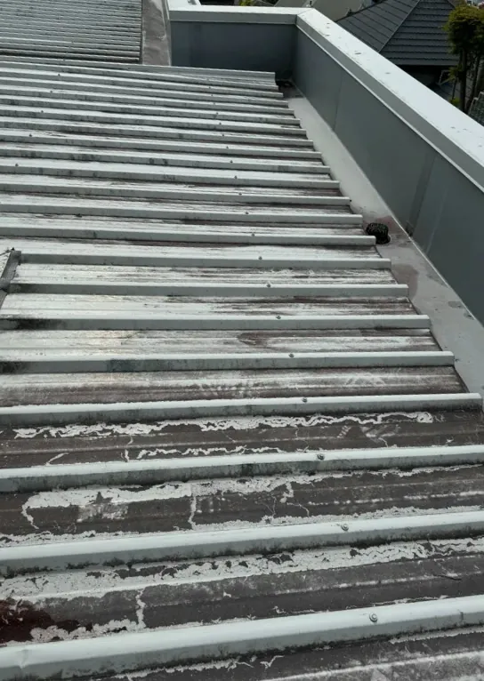 Roof Treatment & Washing: before