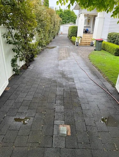 Clean entry path and driveway
